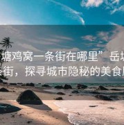 “岳塘雞窩一條街在哪里”岳塘雞窩一條街，探尋城市隱秘的美食勝地