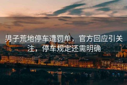 男子荒地停車(chē)遭罰單，官方回應引關(guān)注，停車(chē)規定還需明確